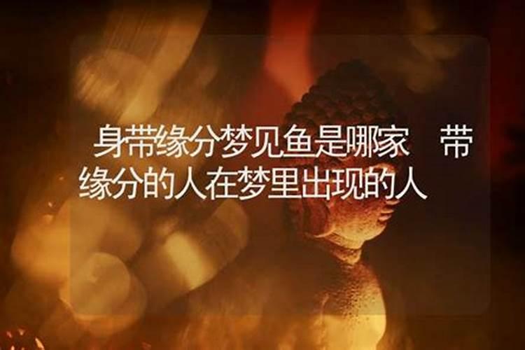 带缘分的人在梦里出现的人
