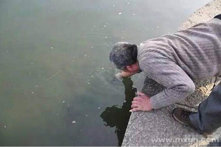 梦见深水井里捞蛤蟆