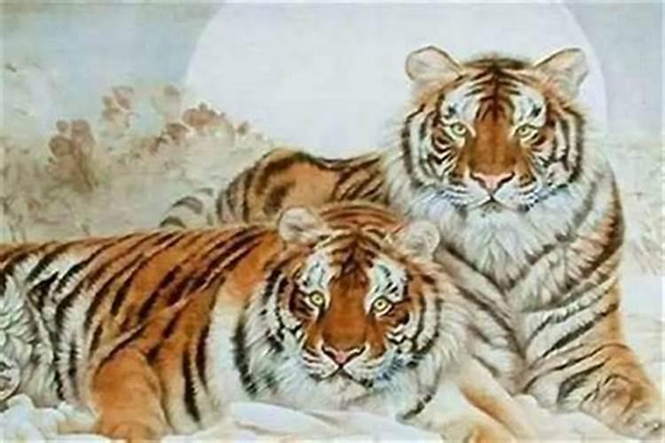 属虎什么属相婚配好？