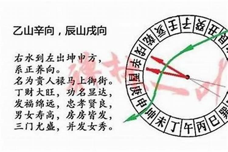 辛山乙向什么八字合？