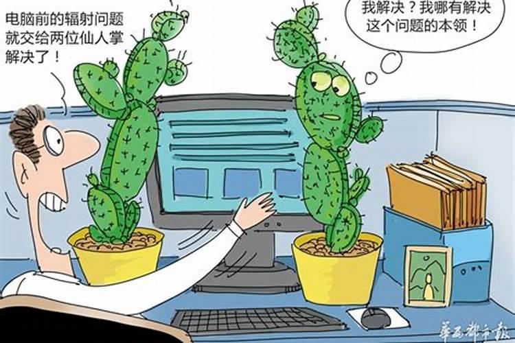 仙人掌真的能克小人吗？