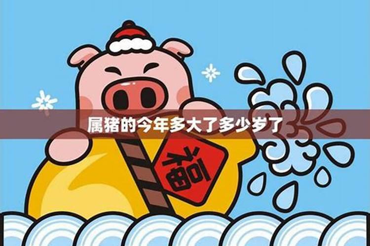 属猪的今年多大2026年运势？