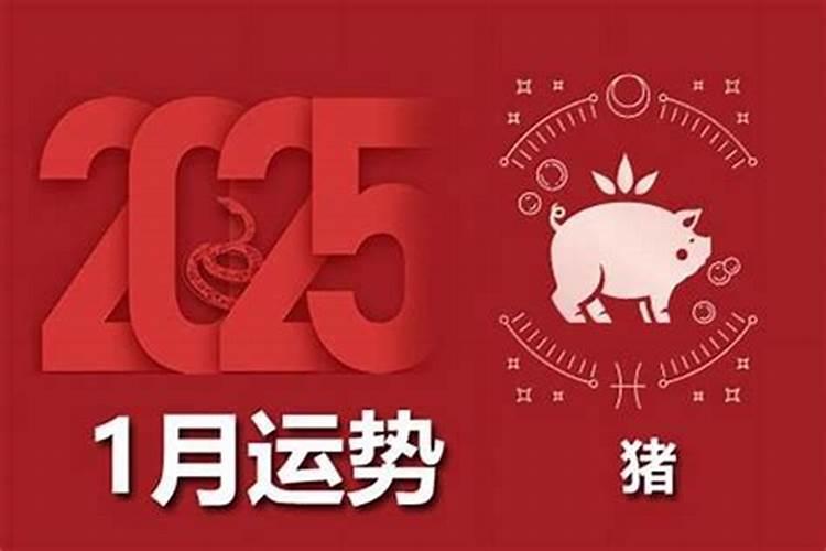 属猪的2026全年运势如何？