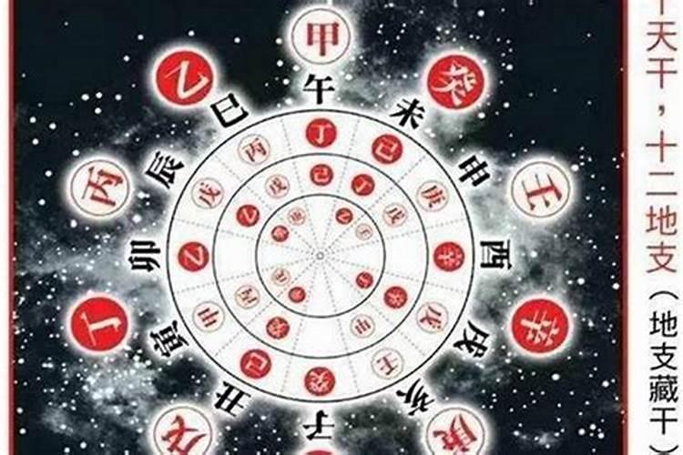 八字中午与什么合？