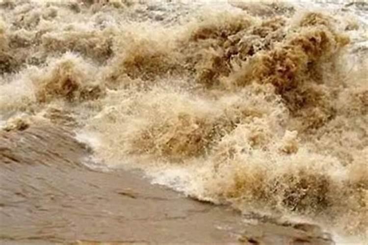 梦到山上洪水滚滚而来