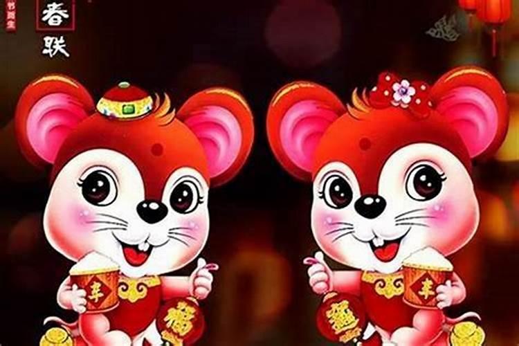 男属鼠女属猫合婚吗？