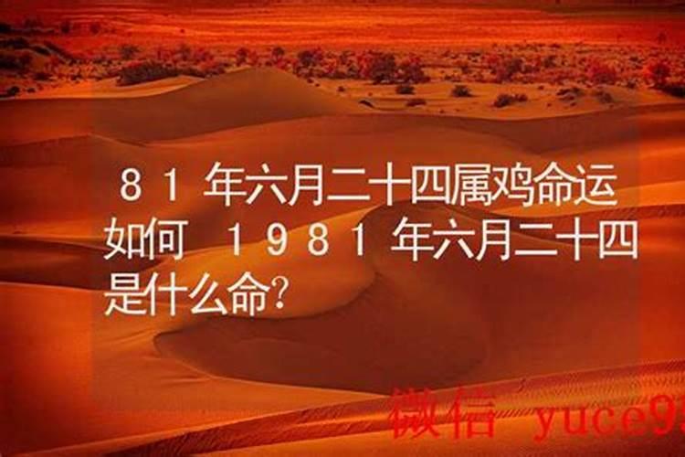81年鸡是什么命？