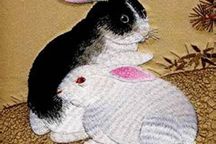 87年属兔2026年运势婚姻