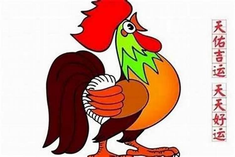 属鸡人今年工作运程