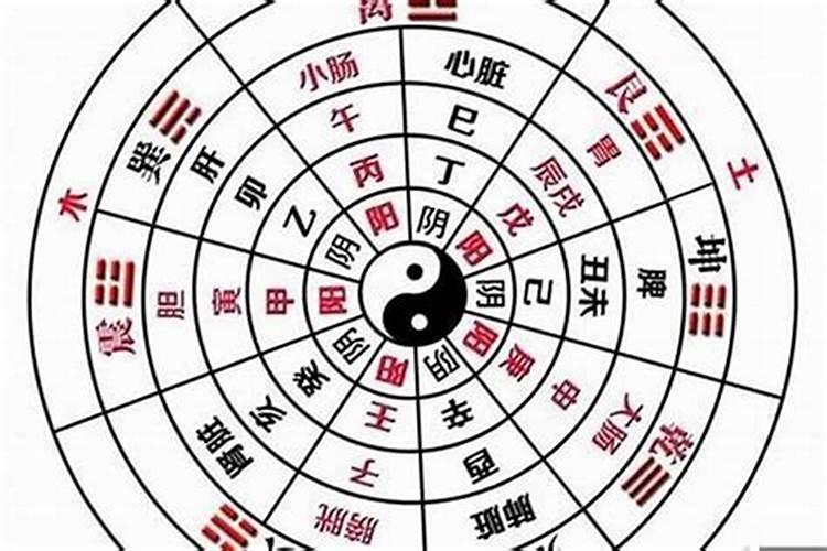 八字合五行怎么算？
