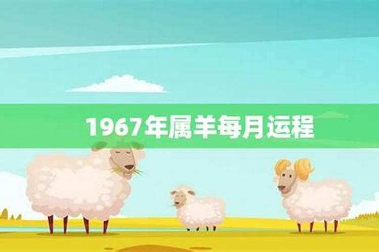 1967年属羊人2026年运程如何？