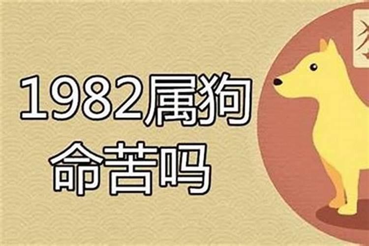 82年属狗的运势不好怎么破解？