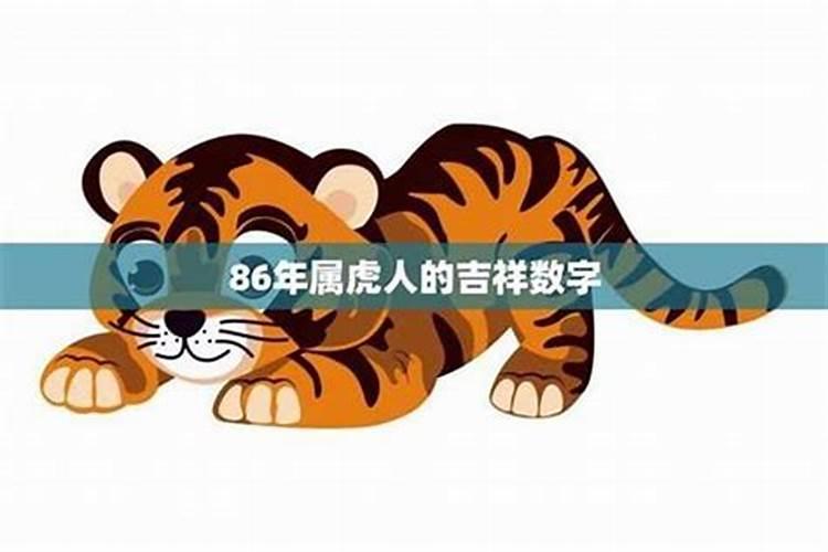 86属老虎的运势2026年运程