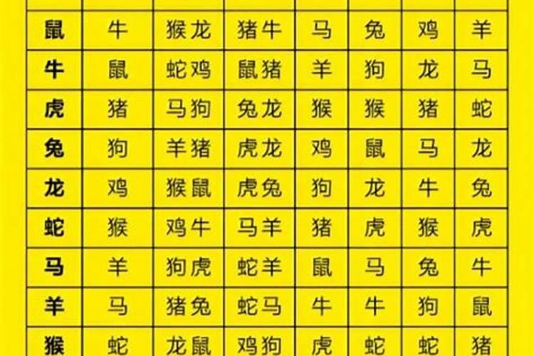 属相不合怎么能化解吗？