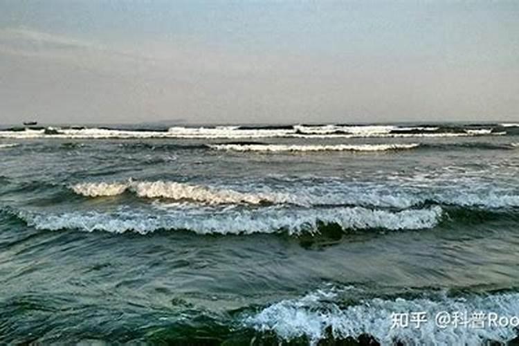 梦见大海涨潮又退潮