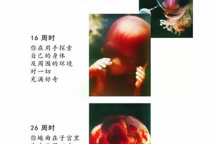 堕胎后运气反而变好了