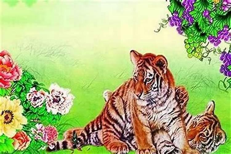 本命年人的运气好吗属虎？