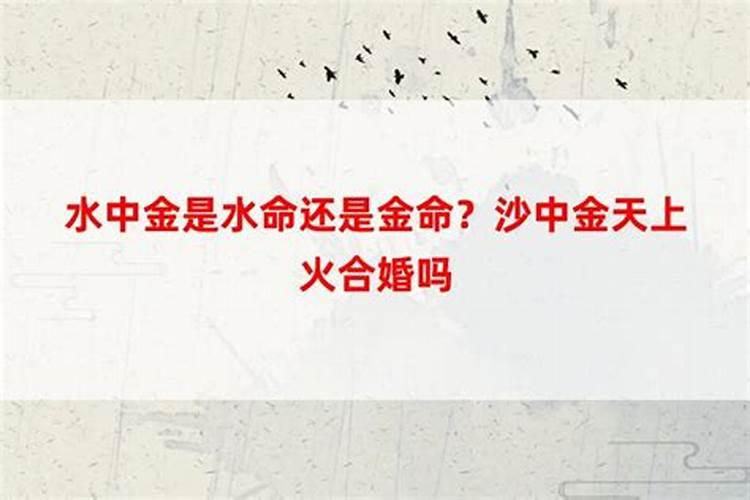 沙中金命和涧下水命合婚吗？