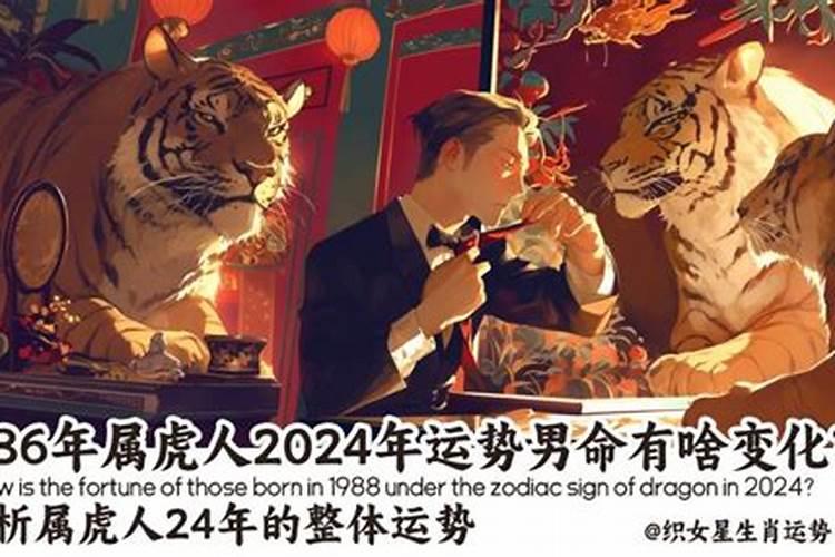 1986年2026年运势男