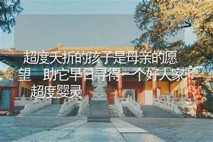 一出生就夭折的孩子去哪了？