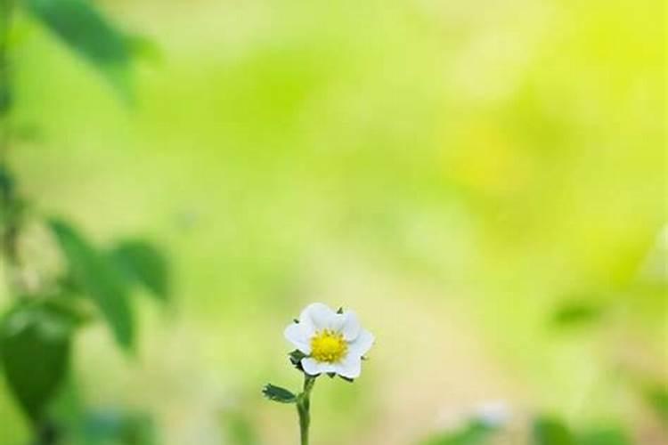 事事不顺心的日子