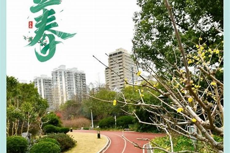 立春之日运动走起