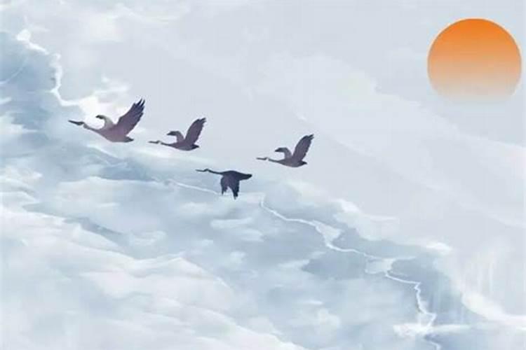 62年生属虎女一生运势