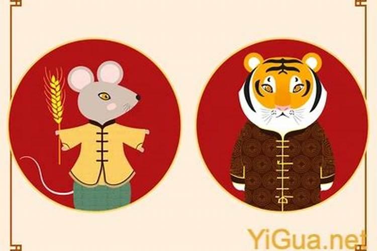 生肖虎和生肖鼠合婚吗？