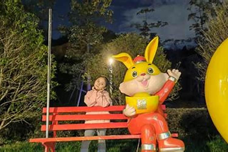 兔人2026年婚姻运势如何？