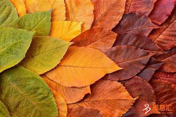 命犯童子煞是如何摧断的？