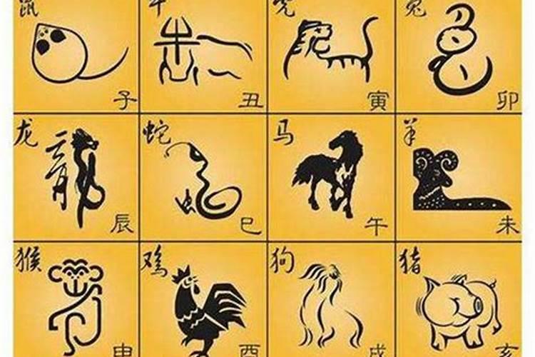 看属相婚配有道理吗？