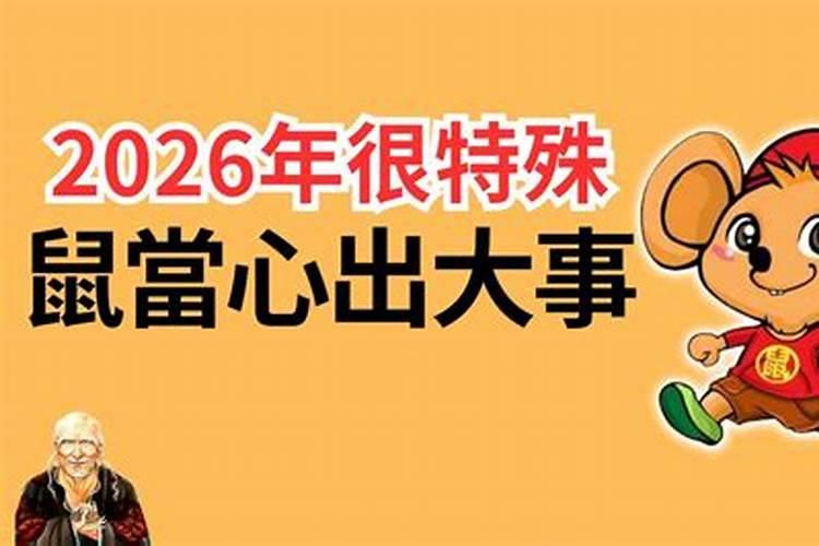 1972年生鼠在2026年运程