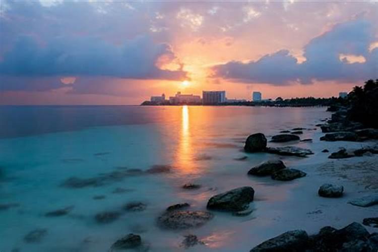 猪人2026年腊月运势