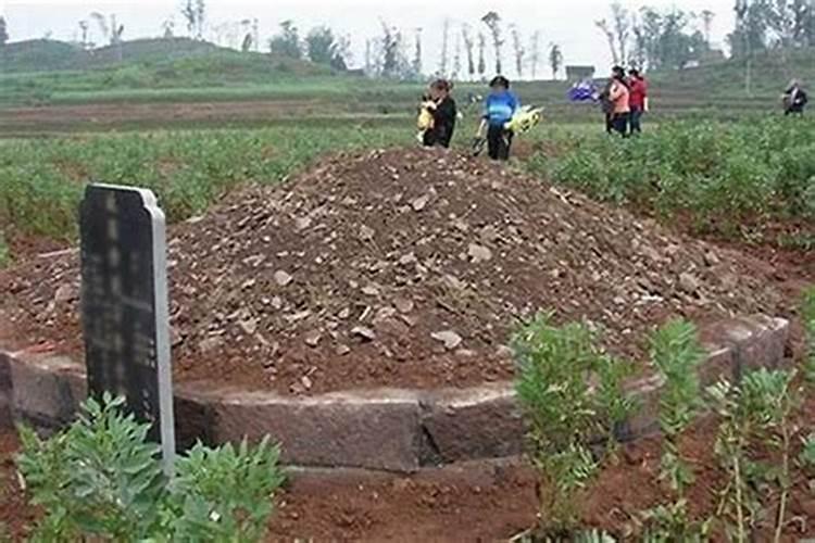 梦到上坟好吗好不好？