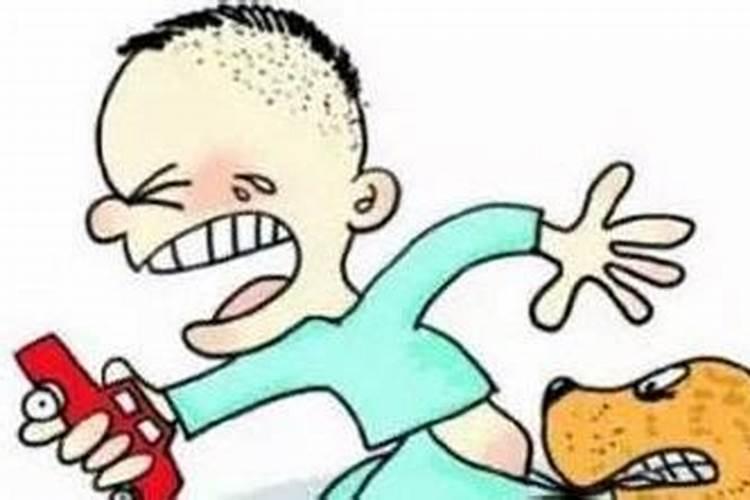 梦见狗咬人但咬了别人