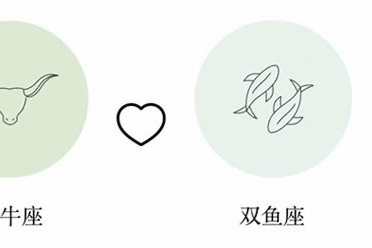双鱼坐和金牛座合婚吗？