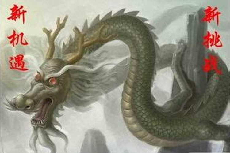 龙属相6月运势如何？