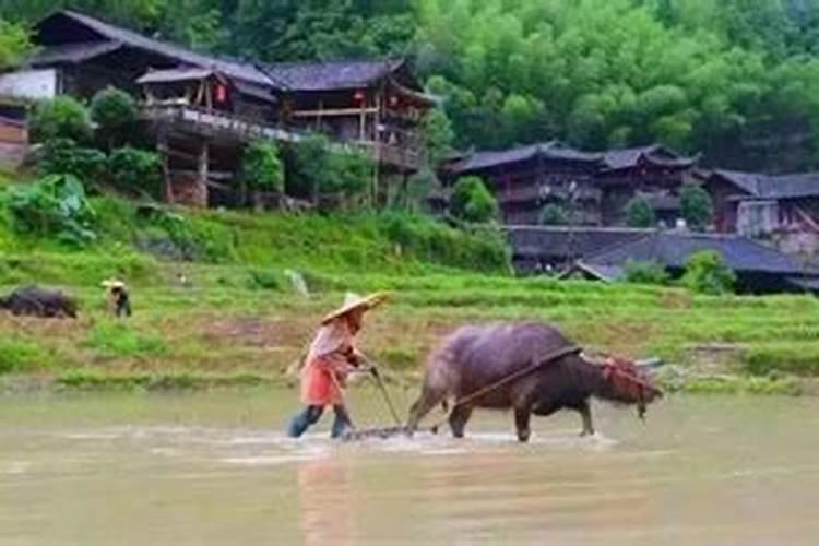 昆山端午节去哪里玩儿？