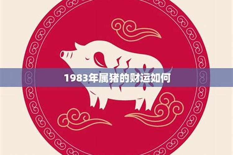 1983年属猪的男生今年的运势如何？