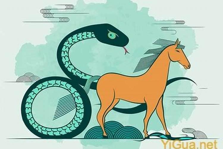 马与蛇八字合吗？