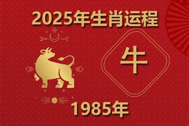 1985属牛今年运势子女运