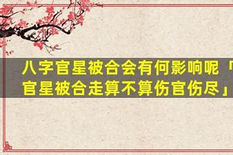 八字伤官被合什么意思？