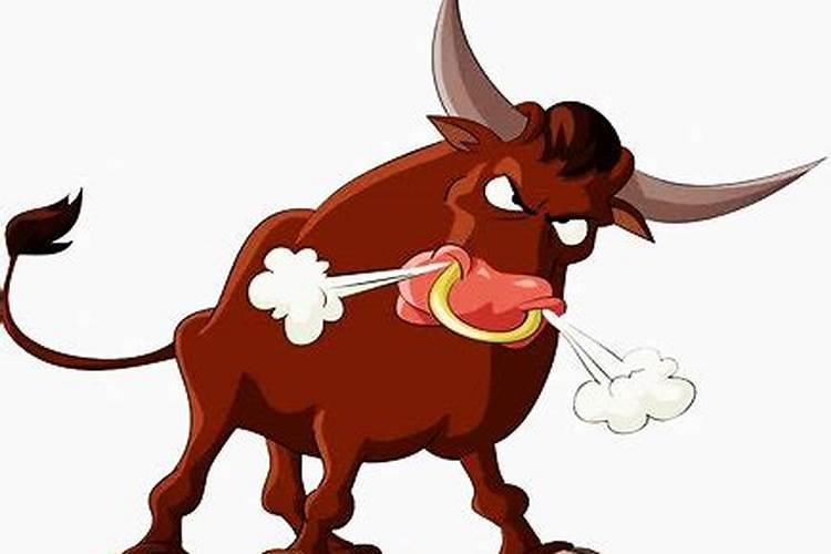 十一月出生的牛运势