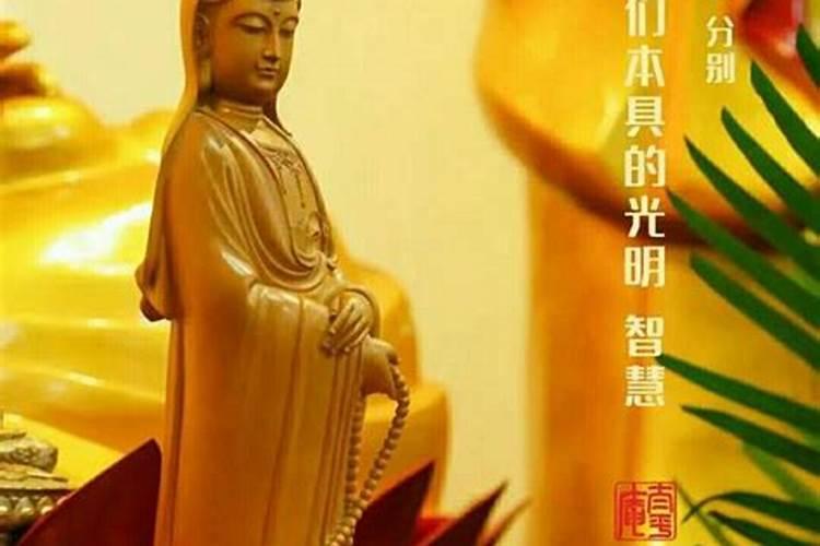 长期吃素念佛对犯太岁有利吗？