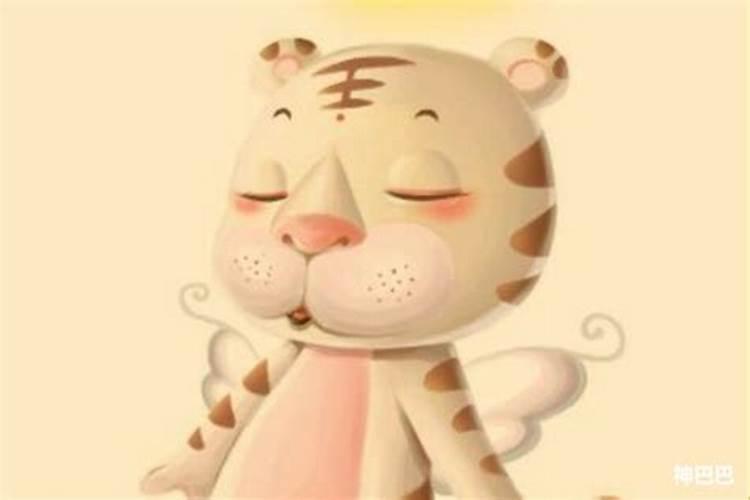 属虎的值太岁需要注意什么？