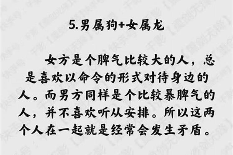 男蛇女狗2026年运势