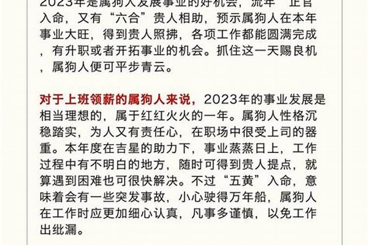 属狗的10月运程如何？