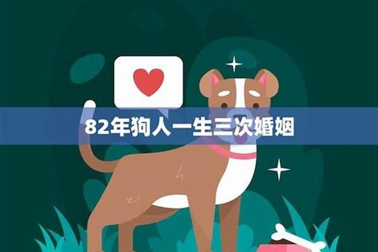 90年马和82年狗合婚吗？