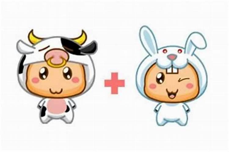 男属兔和女属牛合婚吗？