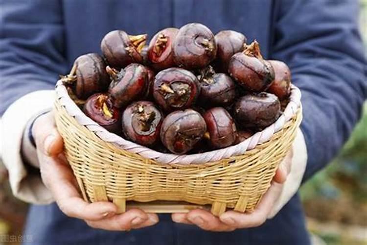 梦见马蹄是什么意思解梦？